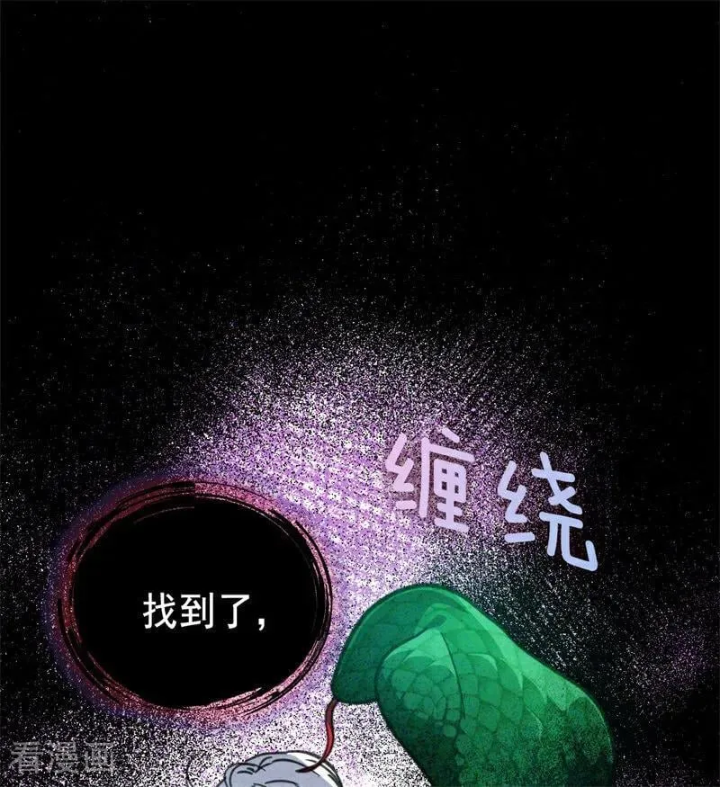 第44话 诅咒之影65
