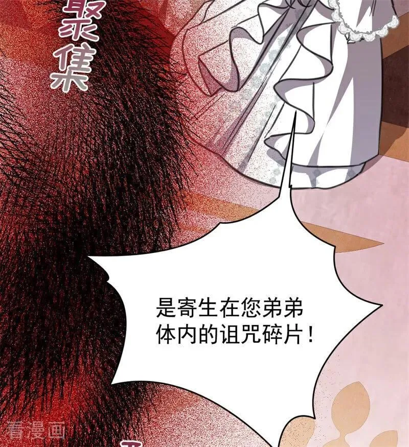第44话 诅咒之影26