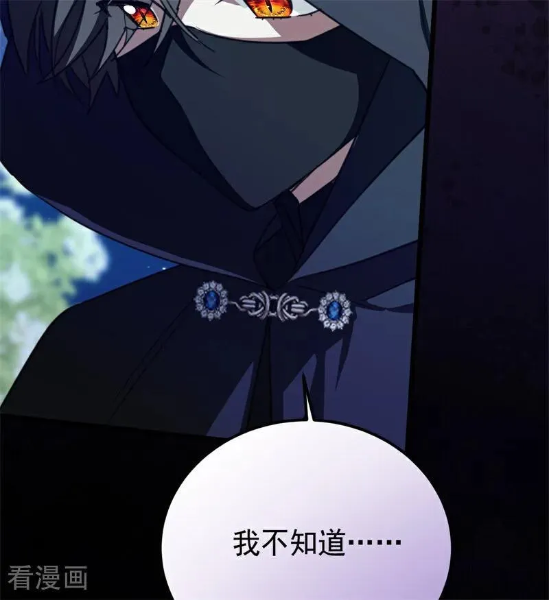第39话 往事27