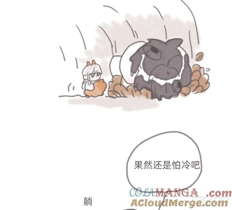 动物世界27