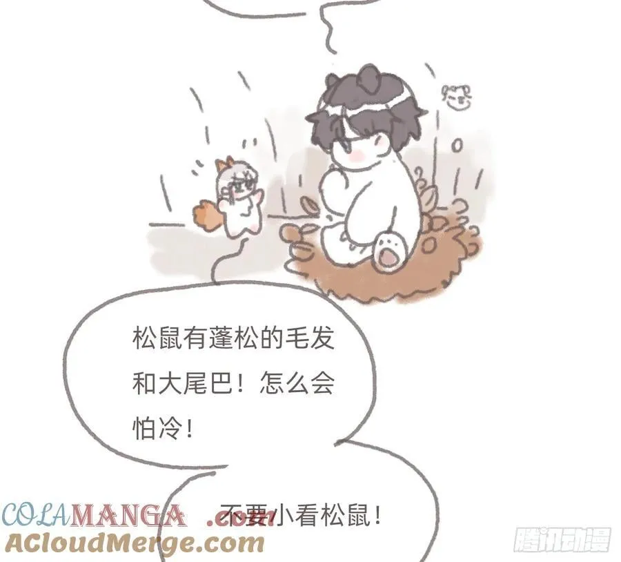 动物世界25
