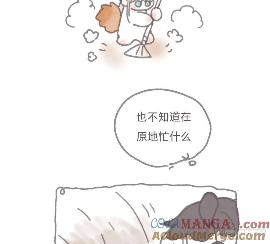 动物世界23