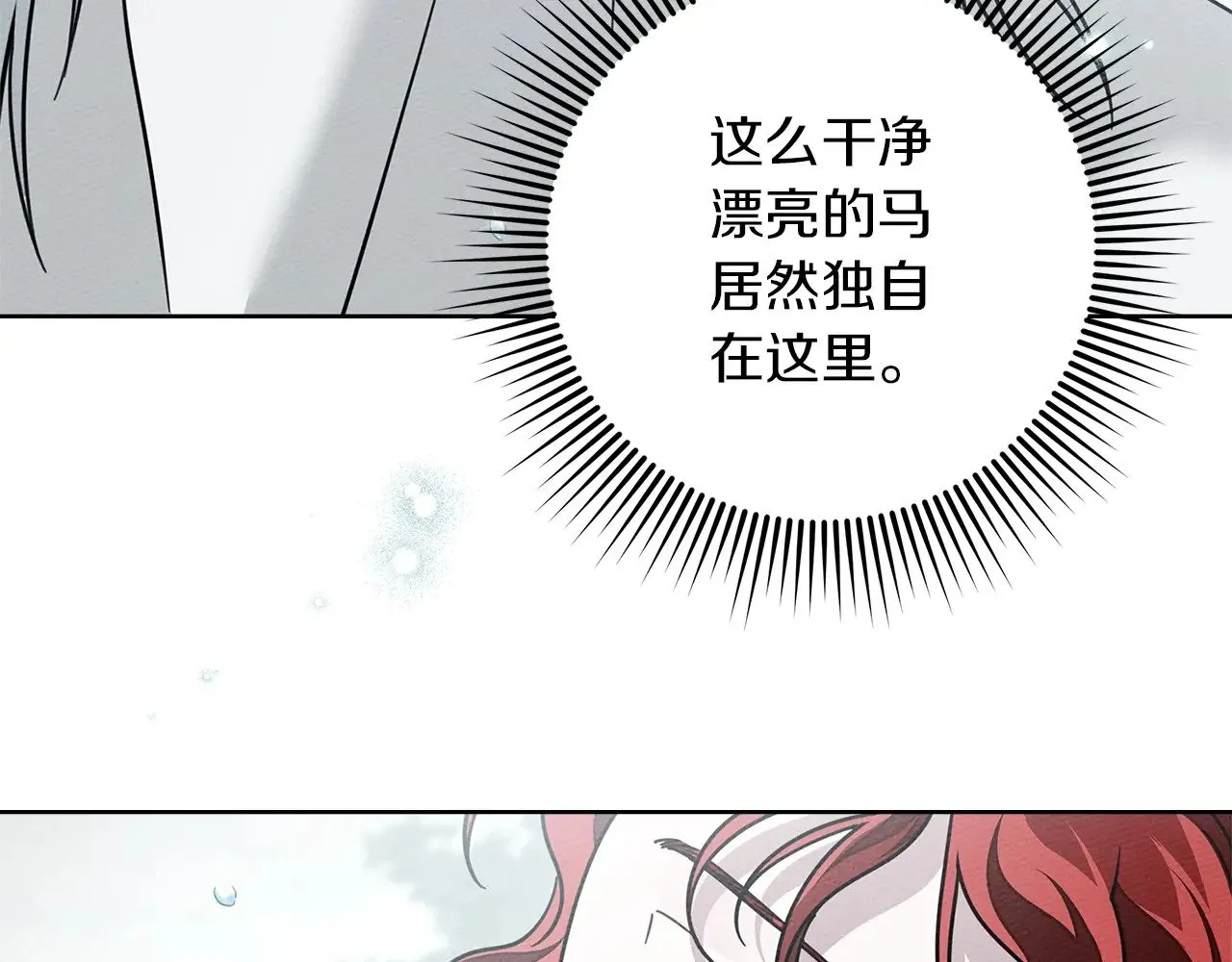 第102话 神秘白马147