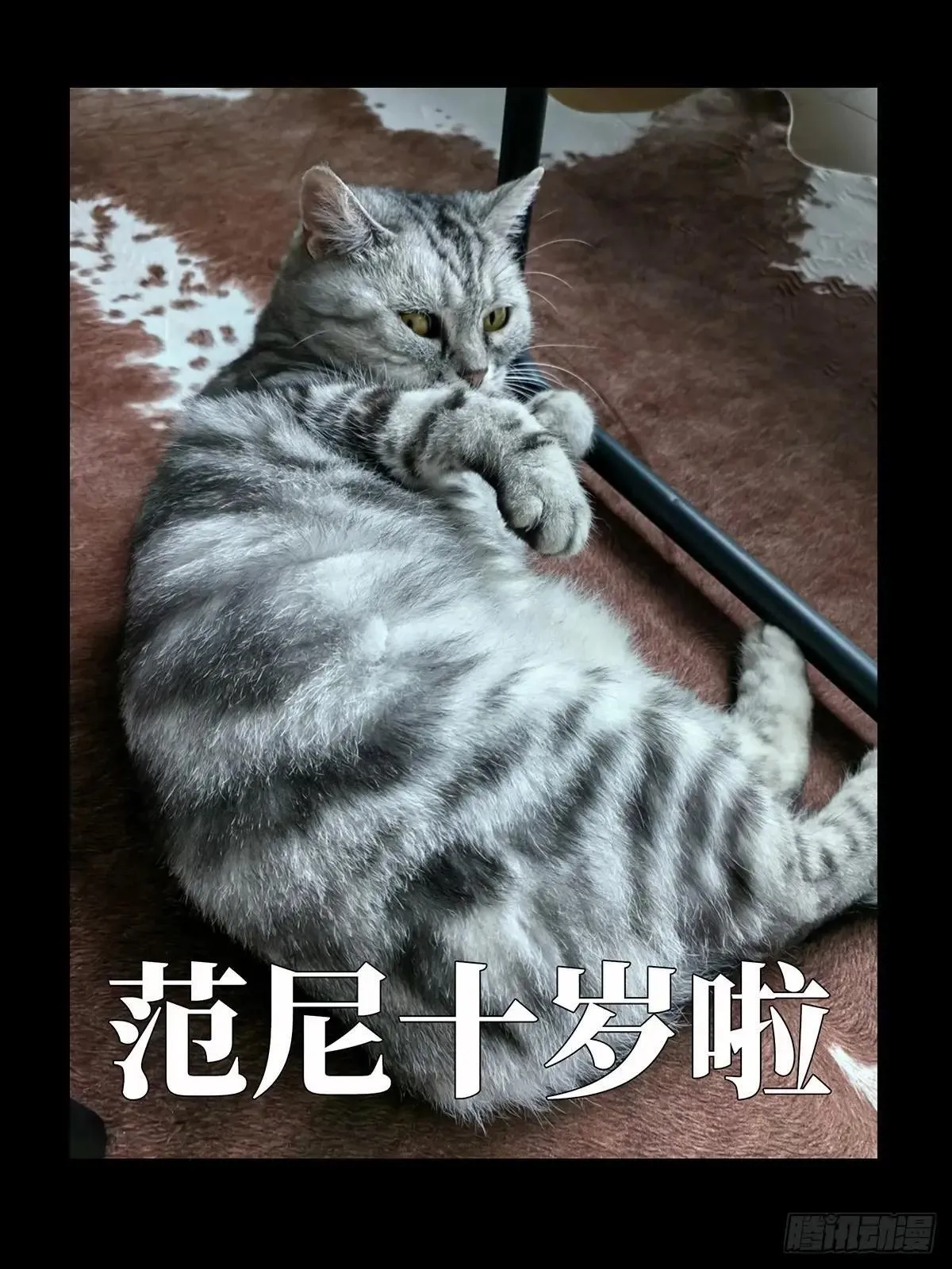第四百五十章/百目上42