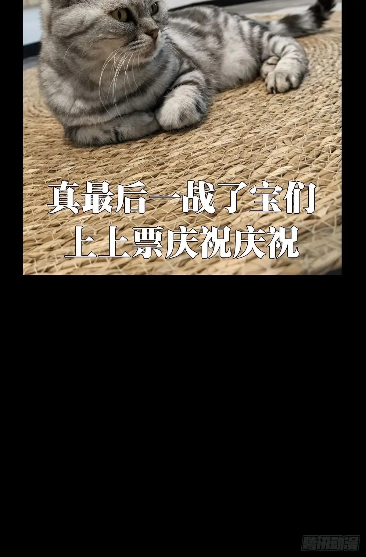 第四百五十四章/最后一战中45