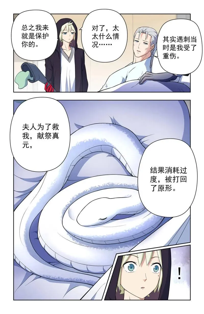 第735话 726回，极品5