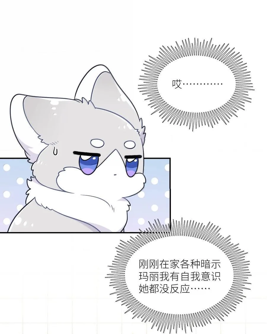 200 狼崽历险记（评论抽奖）14