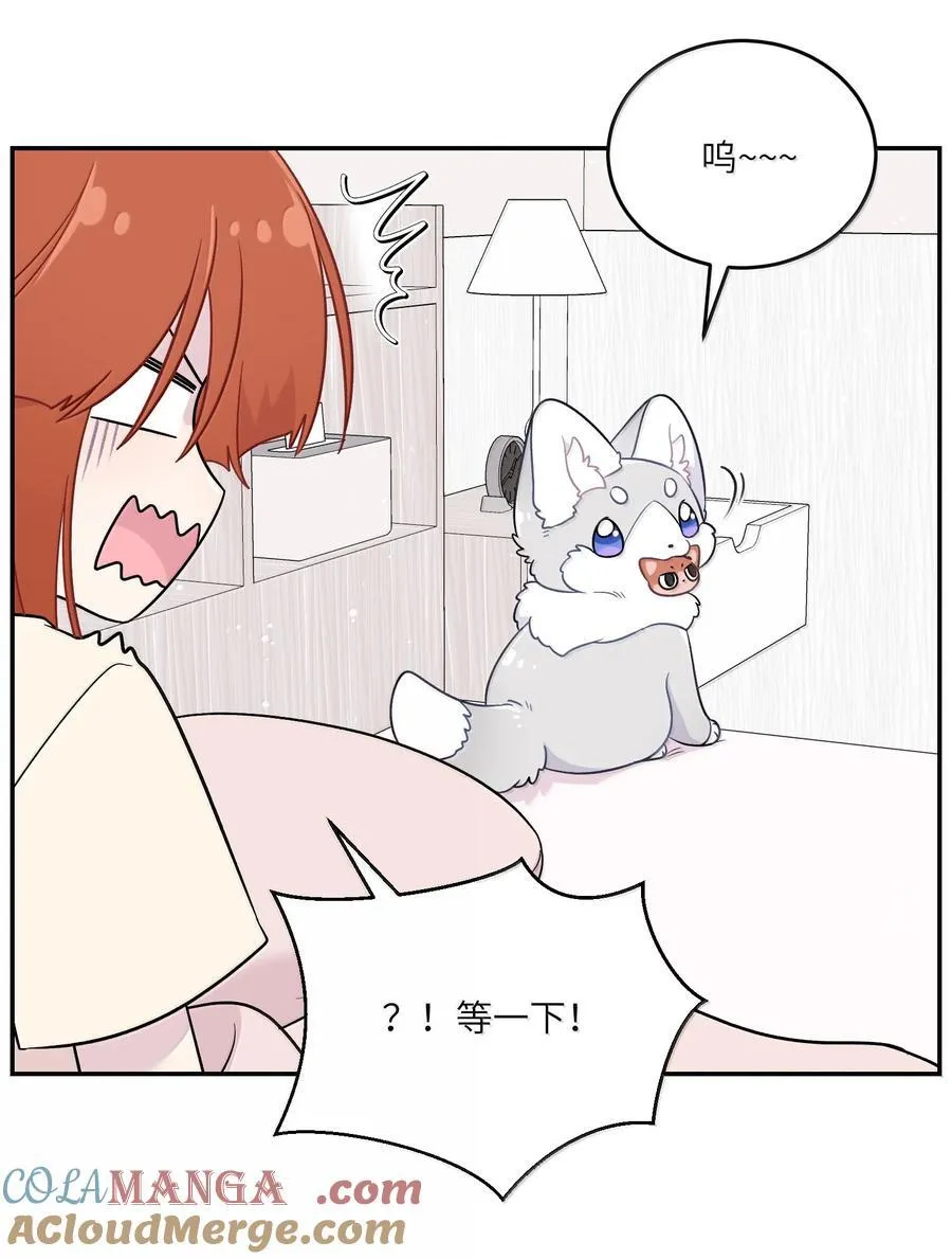 199 全新的体验（含抽奖）18