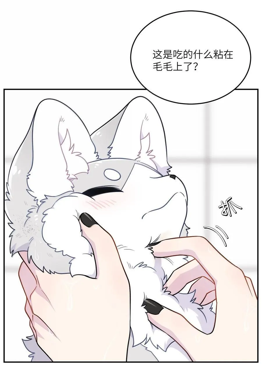 200 狼崽历险记（评论抽奖）34