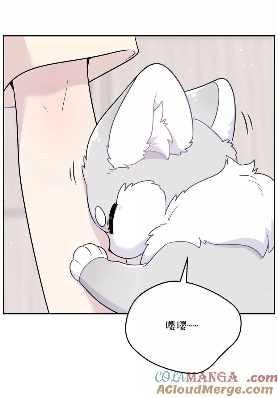 199 全新的体验（含抽奖）12