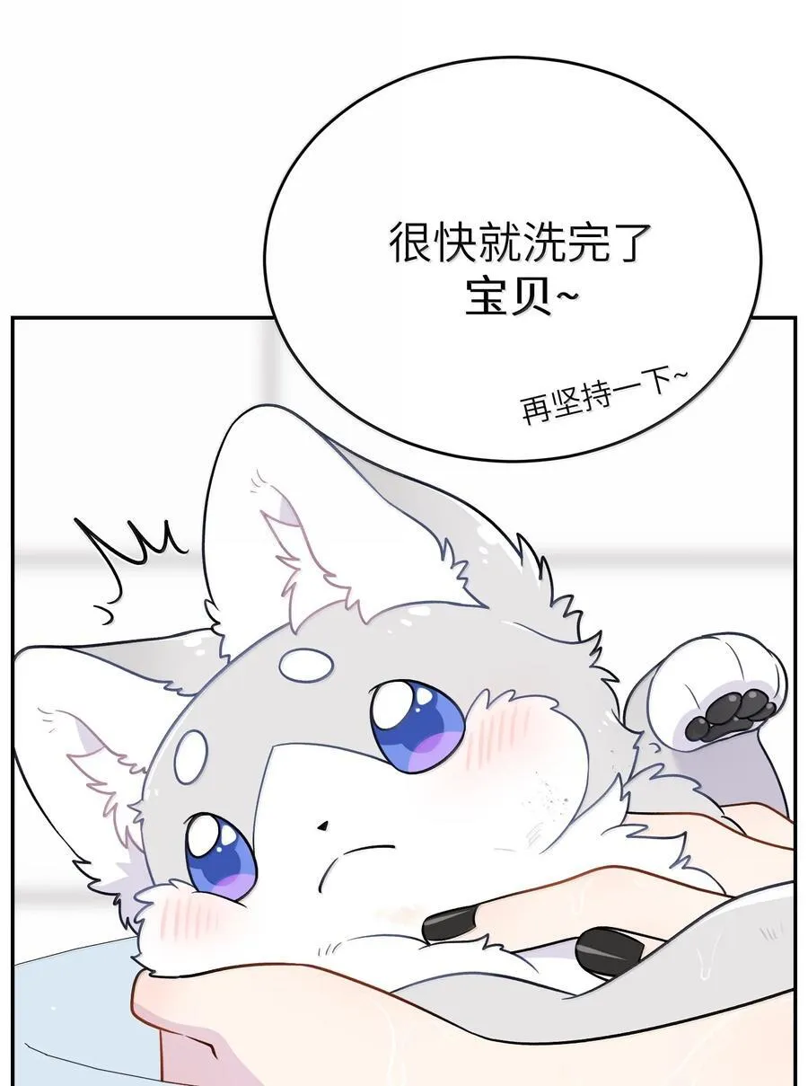 200 狼崽历险记（评论抽奖）37