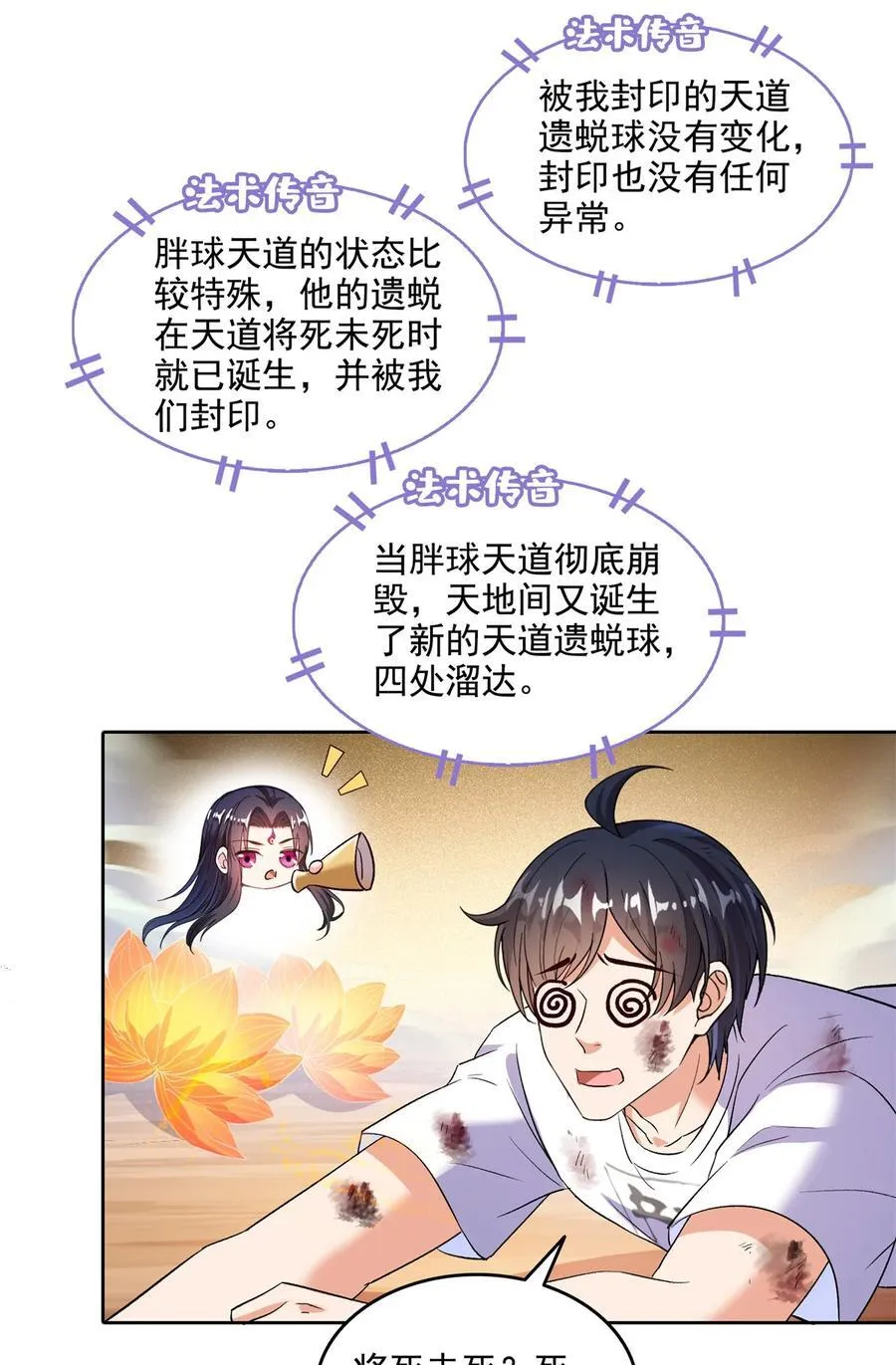 675 天道遗蜕球35