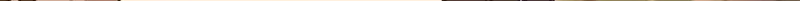 第487话 486 秘密行动17