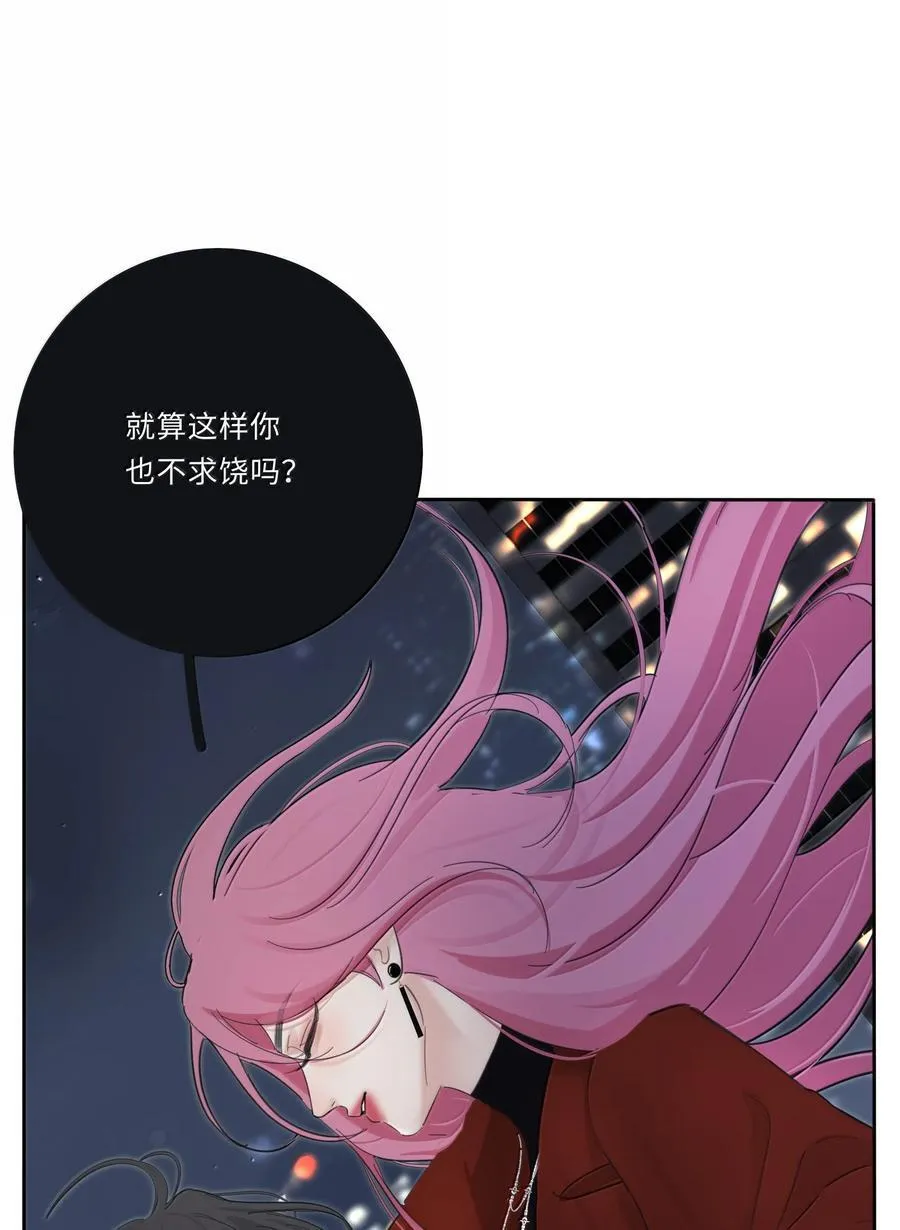 213 闪闪发光8