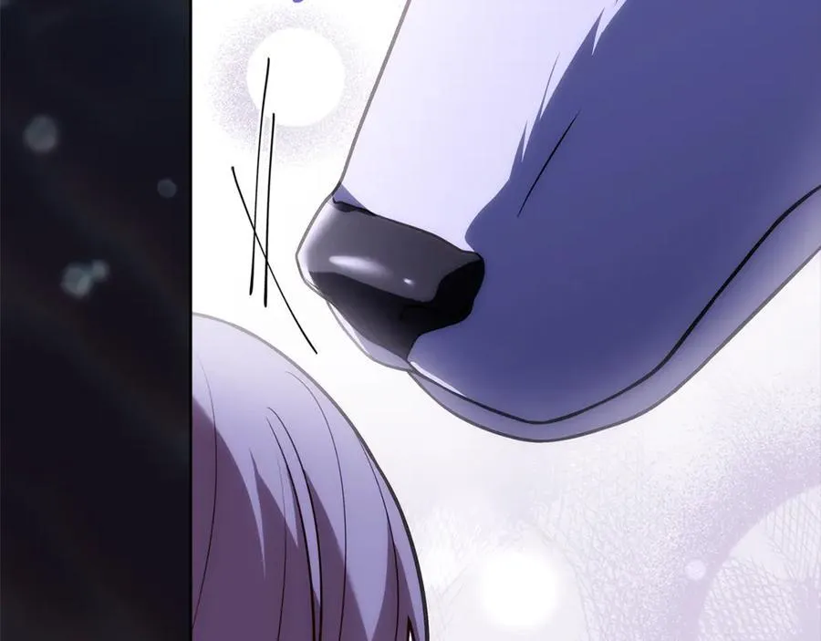 第136话 她在怕什么？162