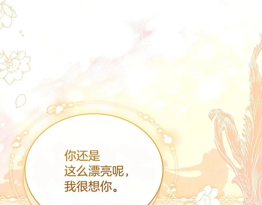 第142话 荣耀项链254