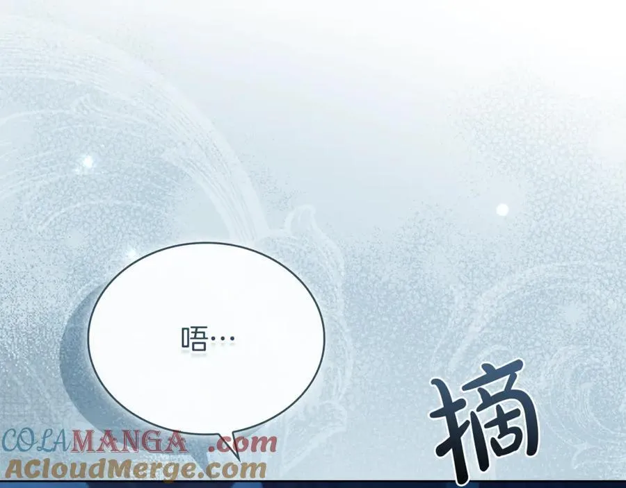 第139话 王国的英雄148