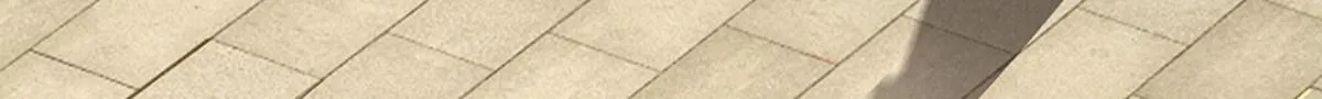 第346话 扔入深渊，还敢嘴硬76