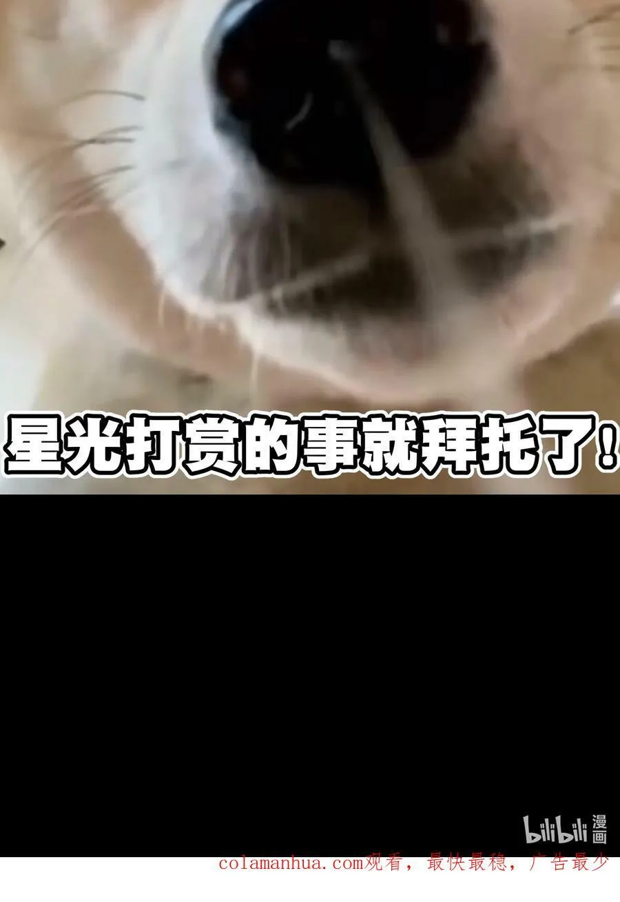 88 玫瑰伴随消散83