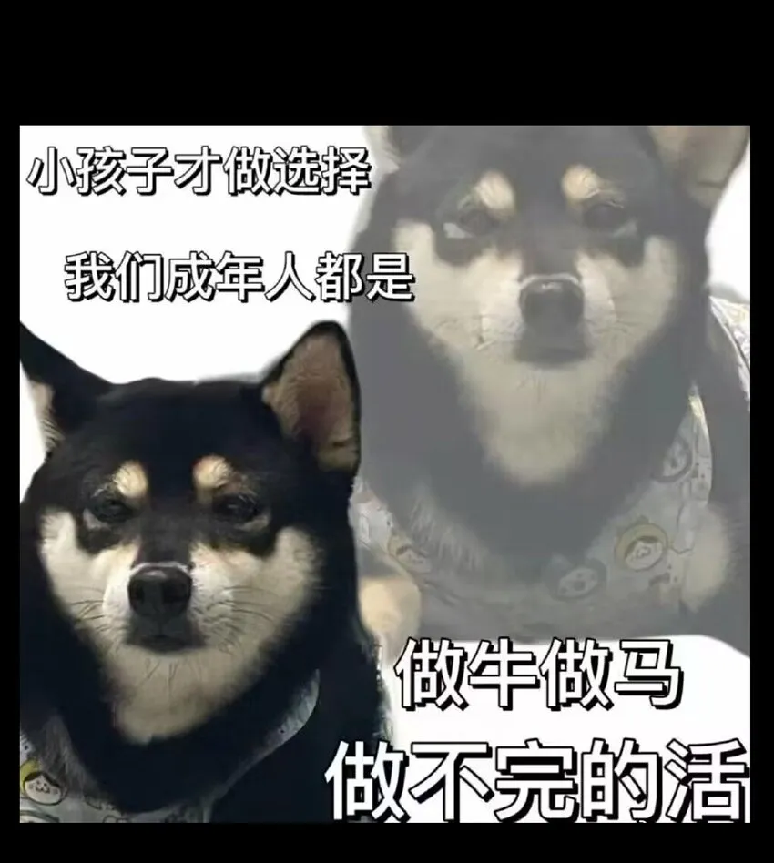 66 有限vs无限107