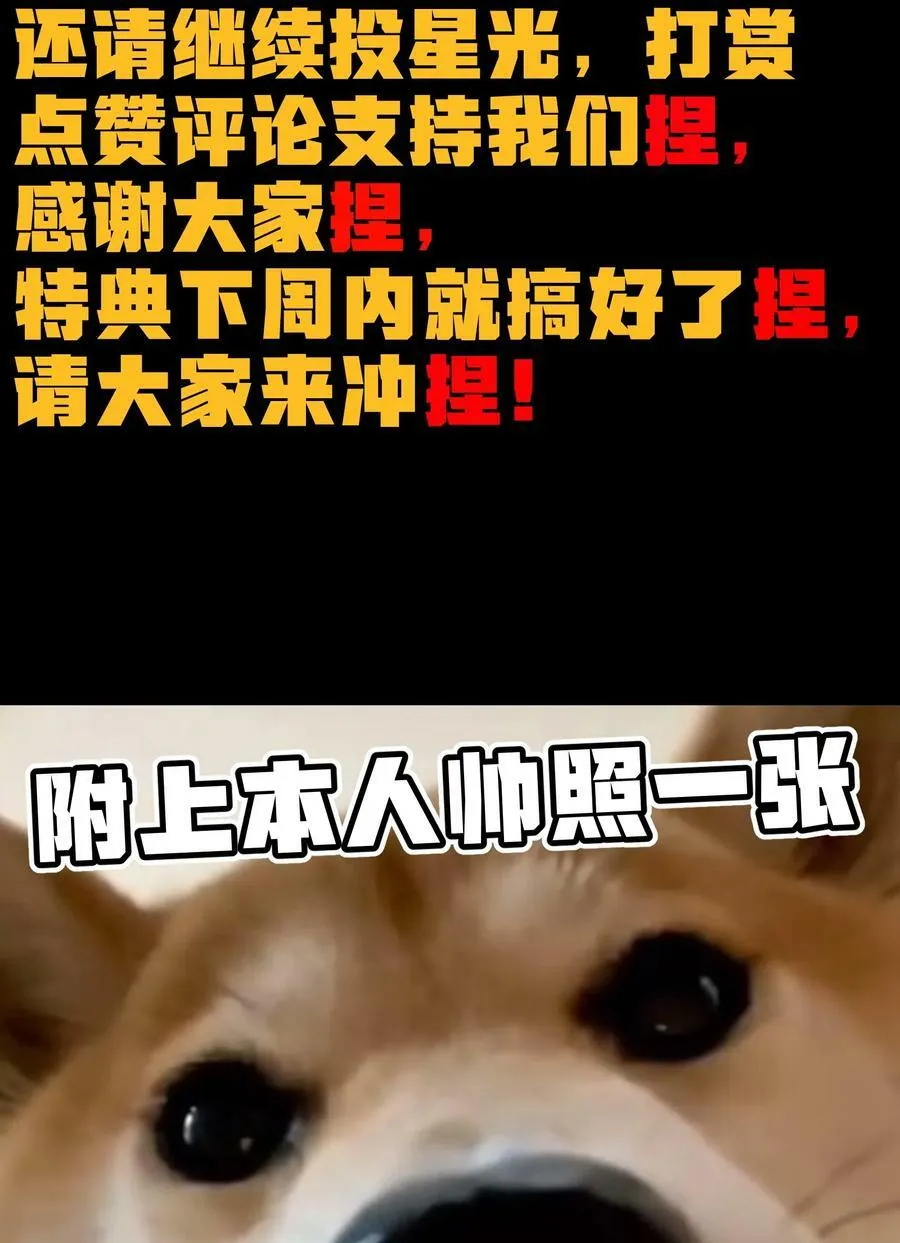 88 玫瑰伴随消散82