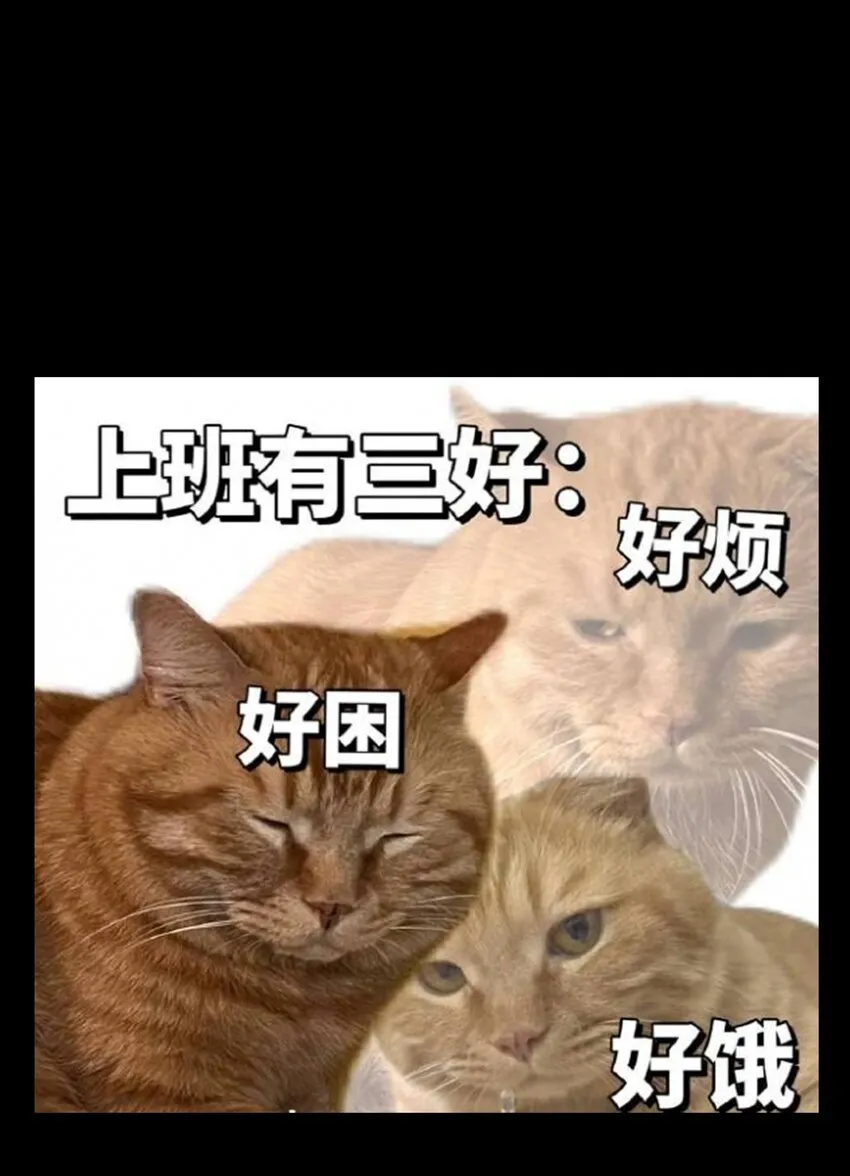 53 你猜85