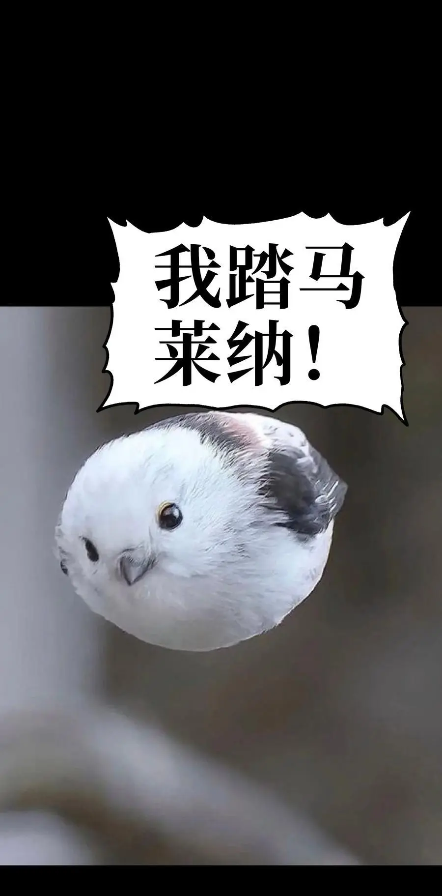 108 你给我闭嘴!!67