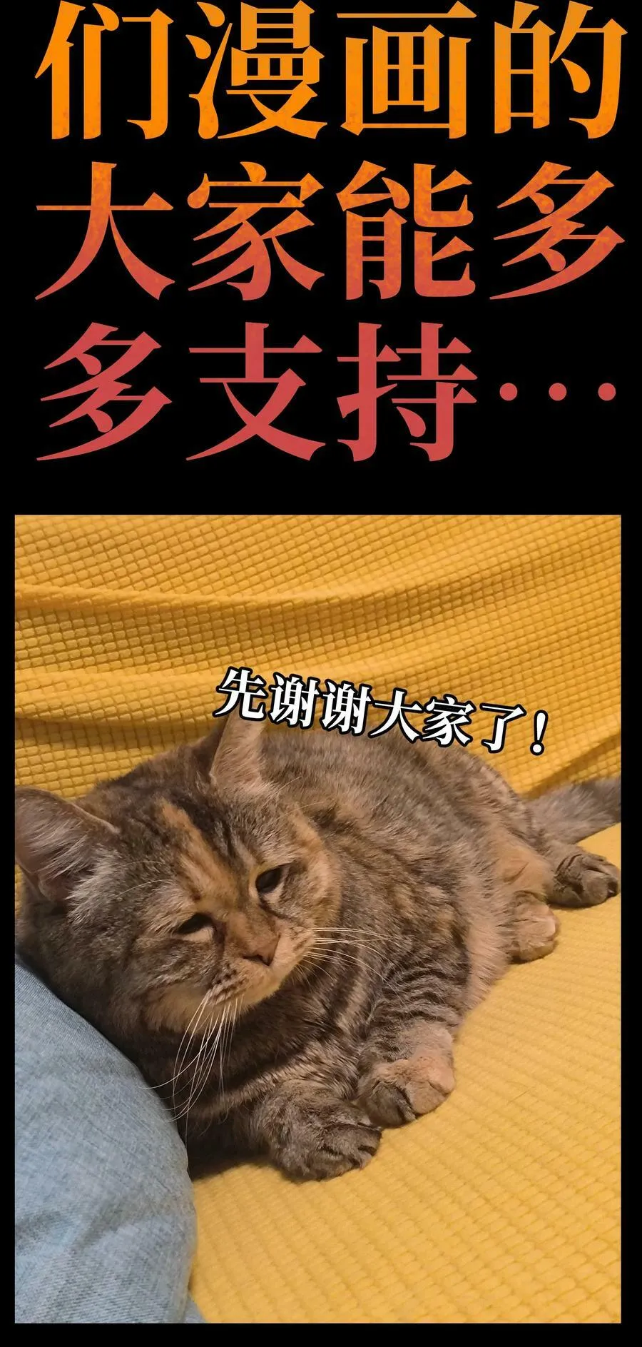 84 告与白67