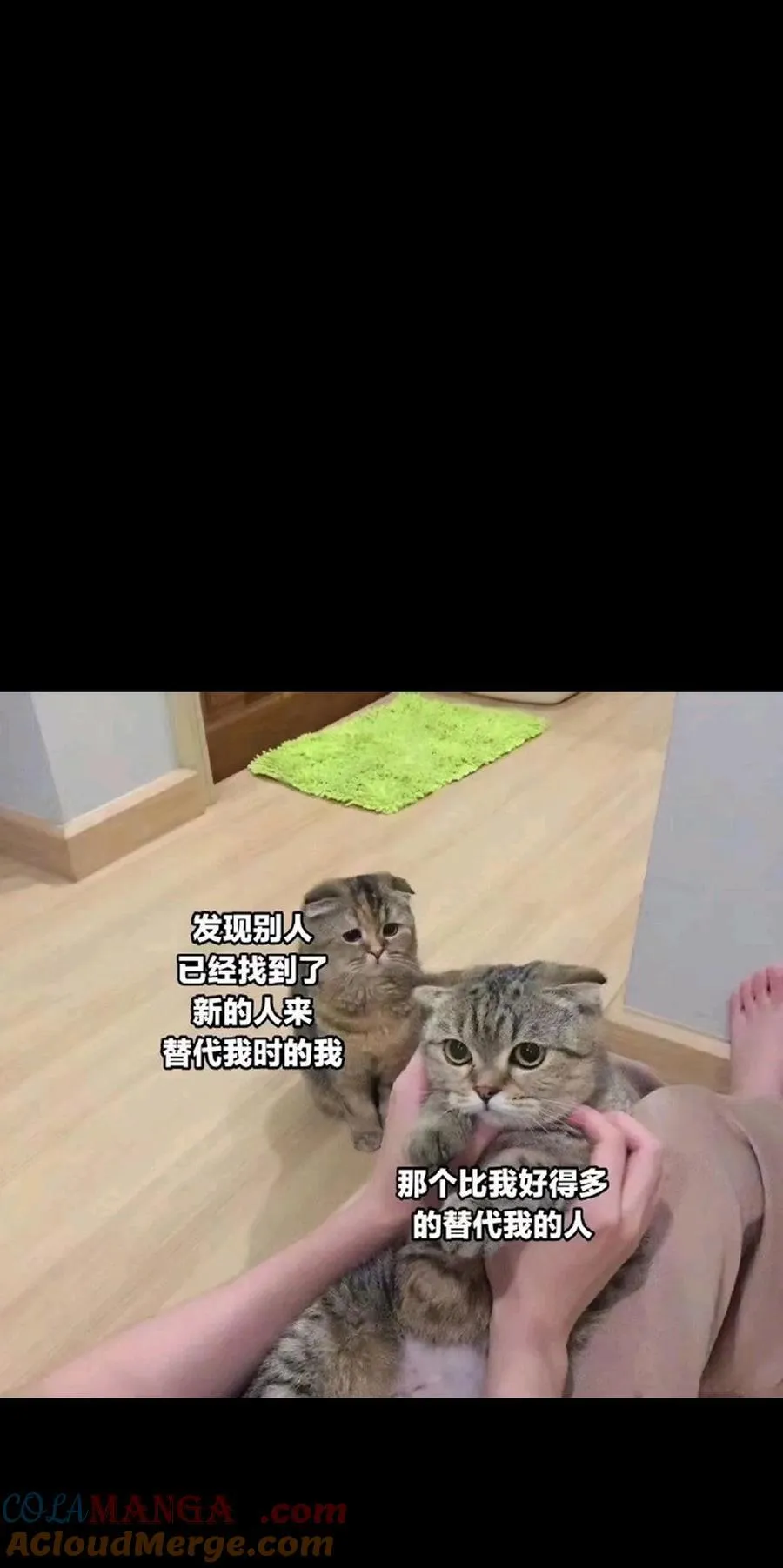 123 莎顿的过去81