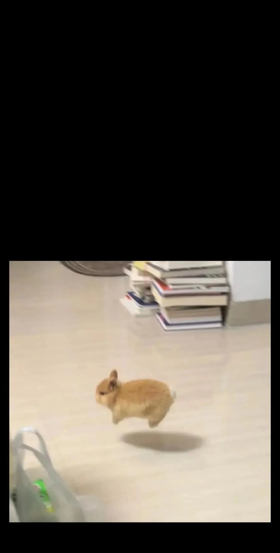 131 感染者74
