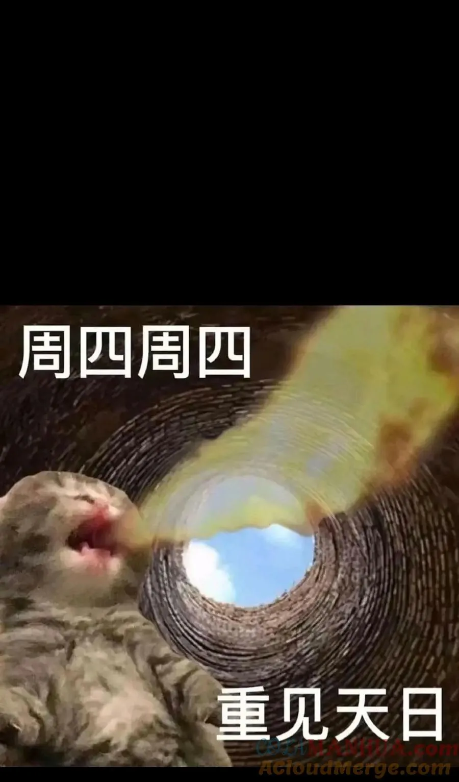 94 困境的死兽69