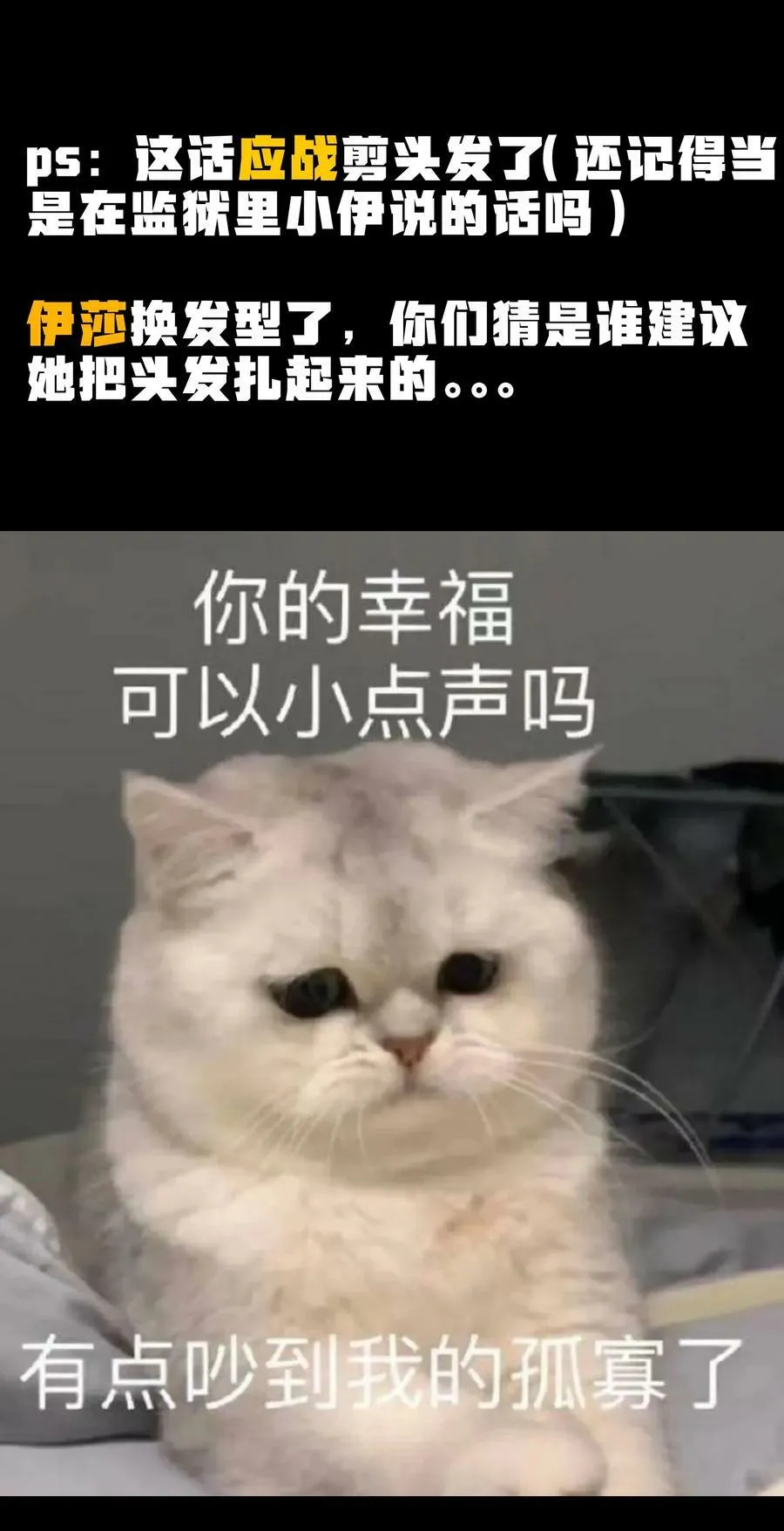 89 苹果与天生人渣73