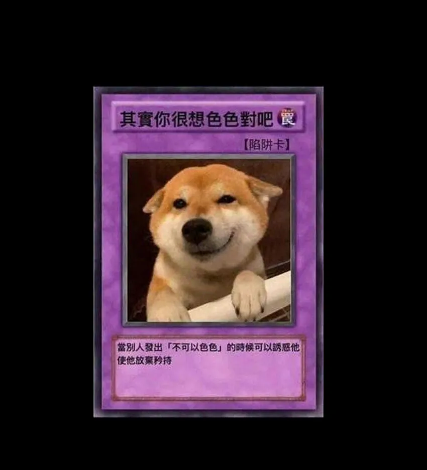 020 应战的理由89