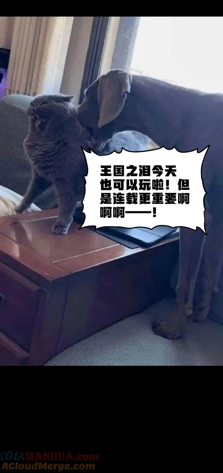 87 玫瑰的样子69