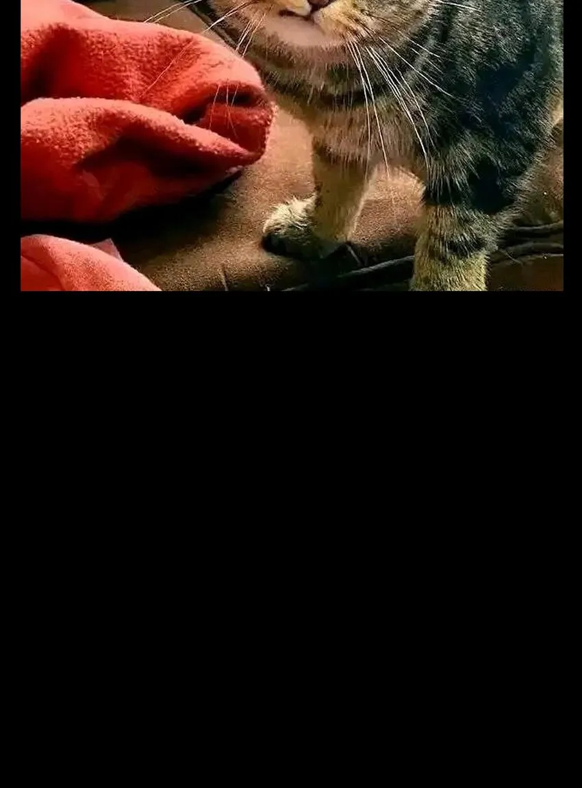 50 哟！好久不见！75
