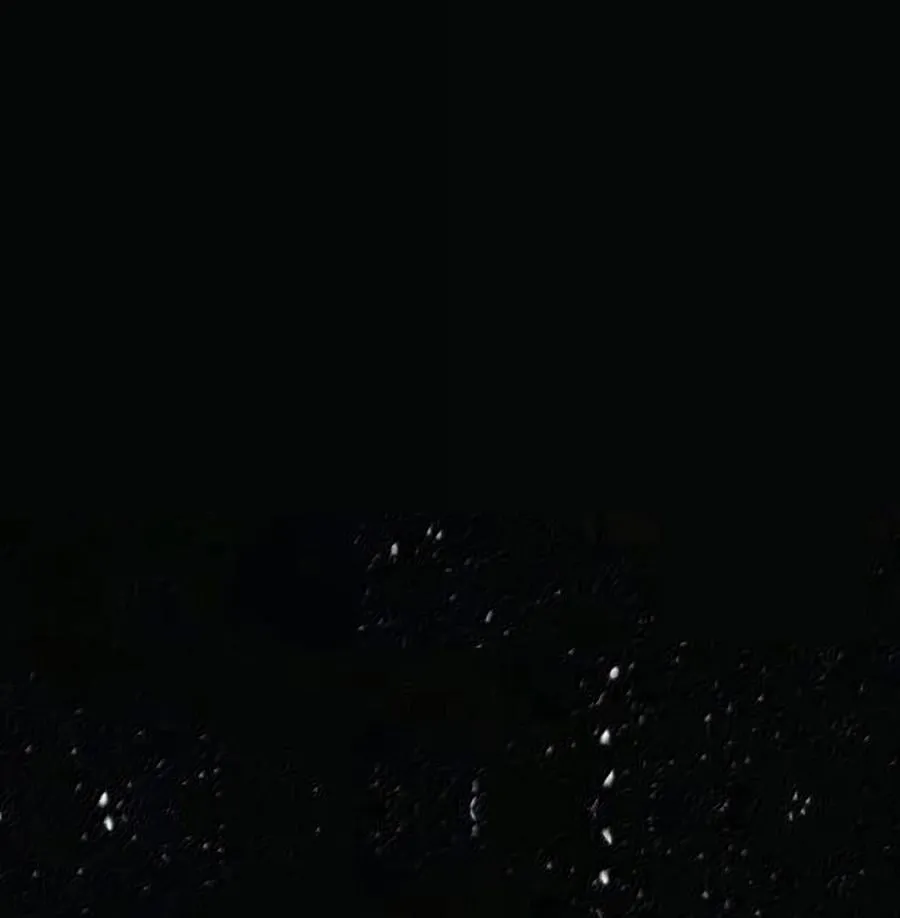 139 森林精灵97