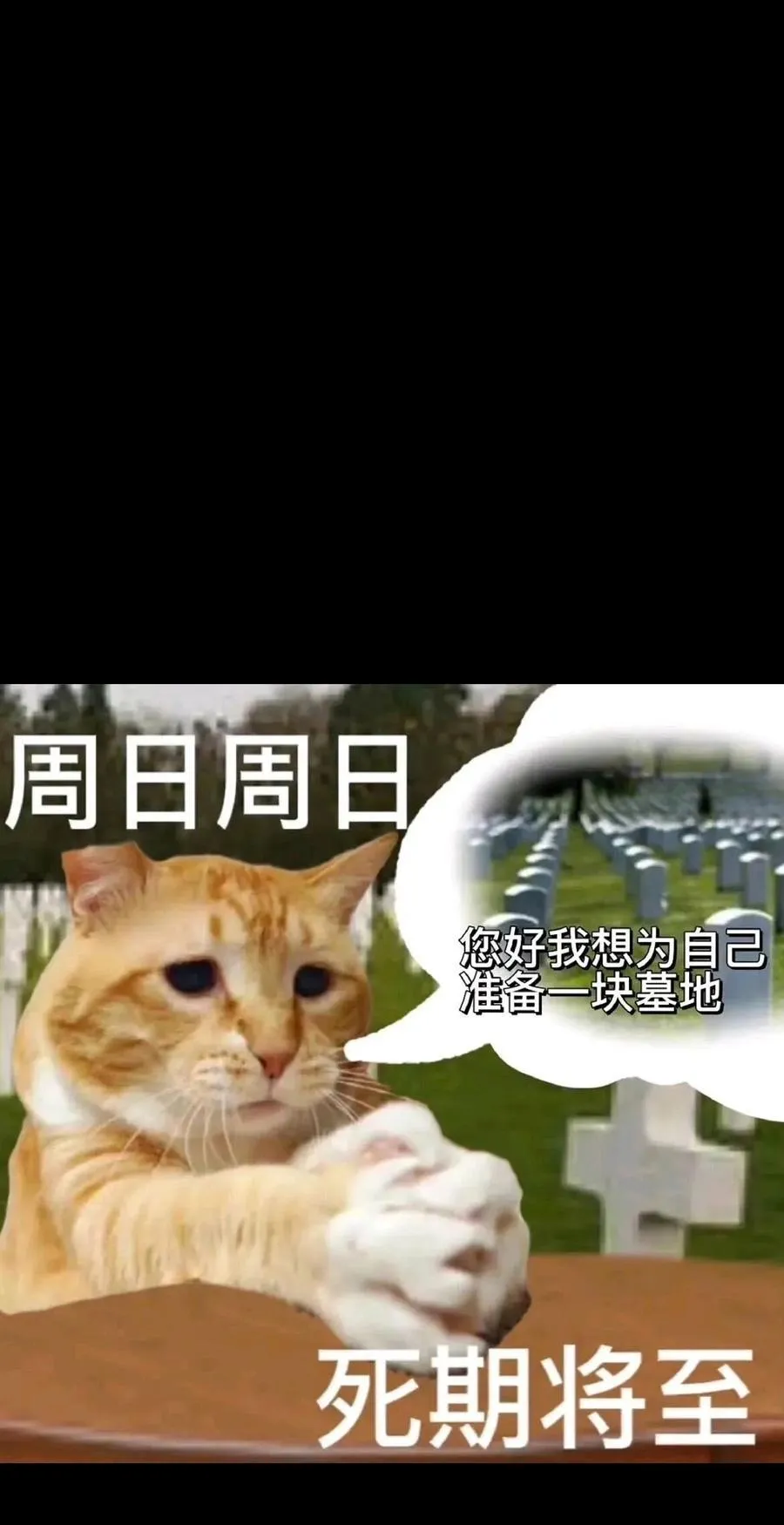 96 格雷厄姆的进食秀74