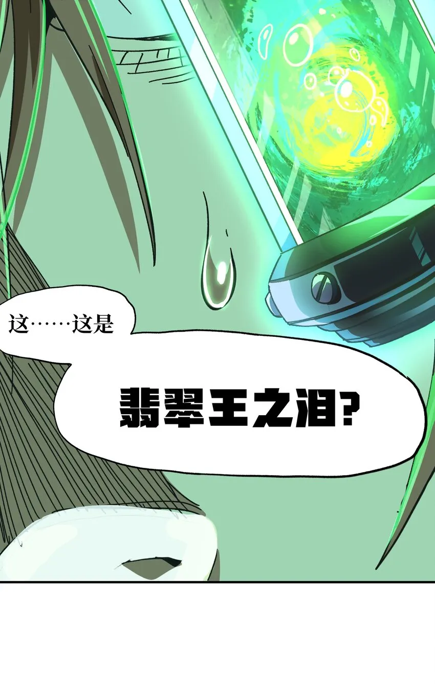 031 翡翠王之泪35