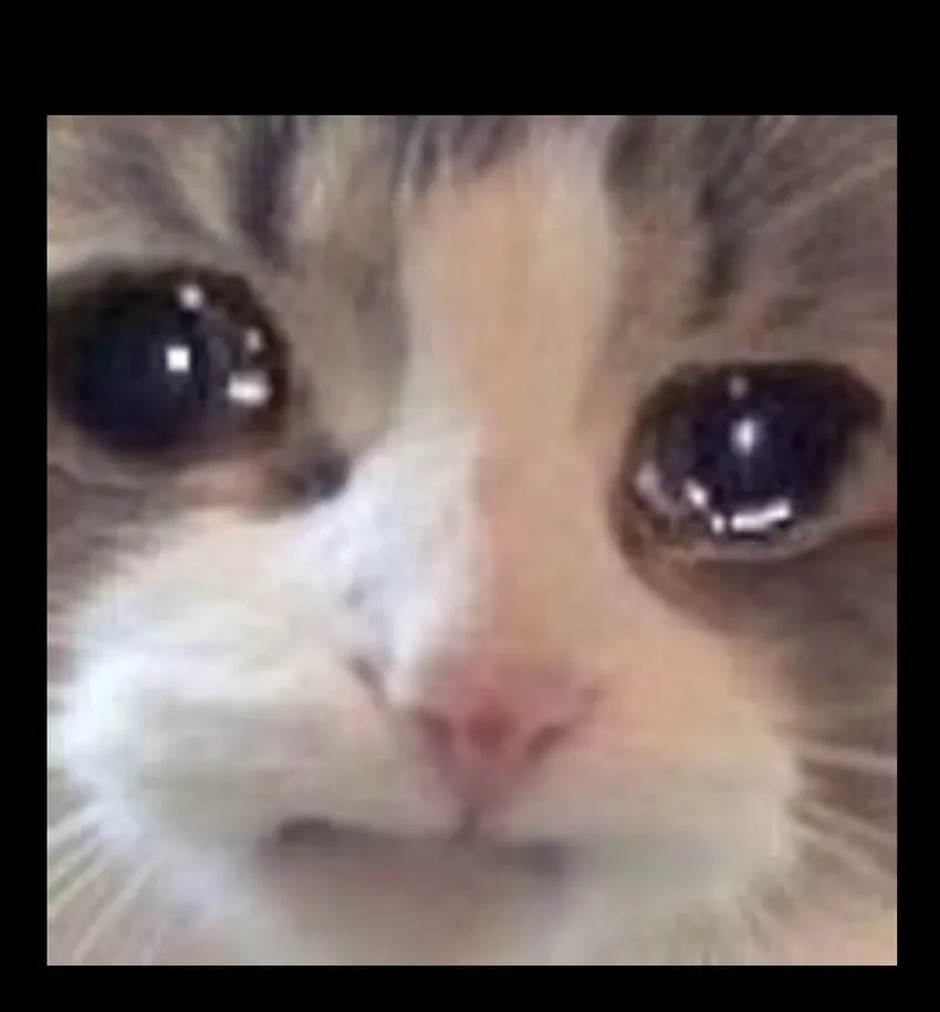 65 人 渣113