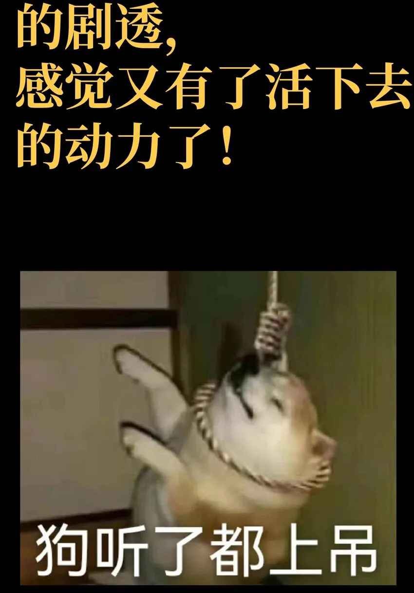 40 超幸运玩家94