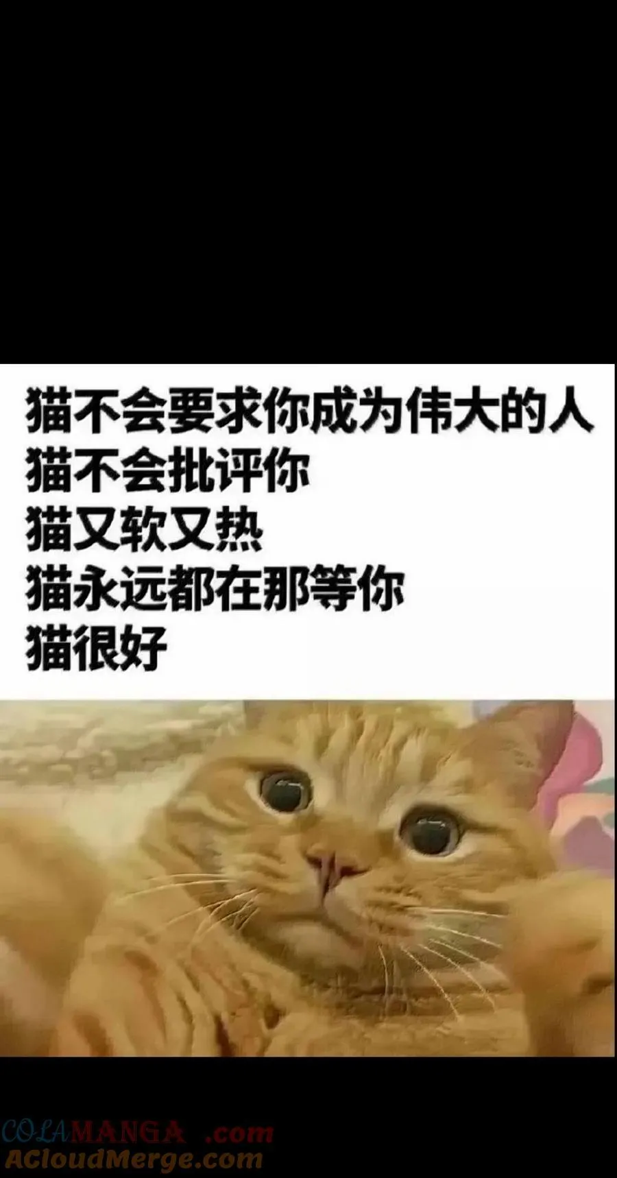 154 【新特典】不合格的王84