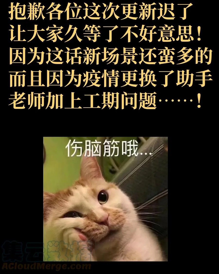 038 追击81