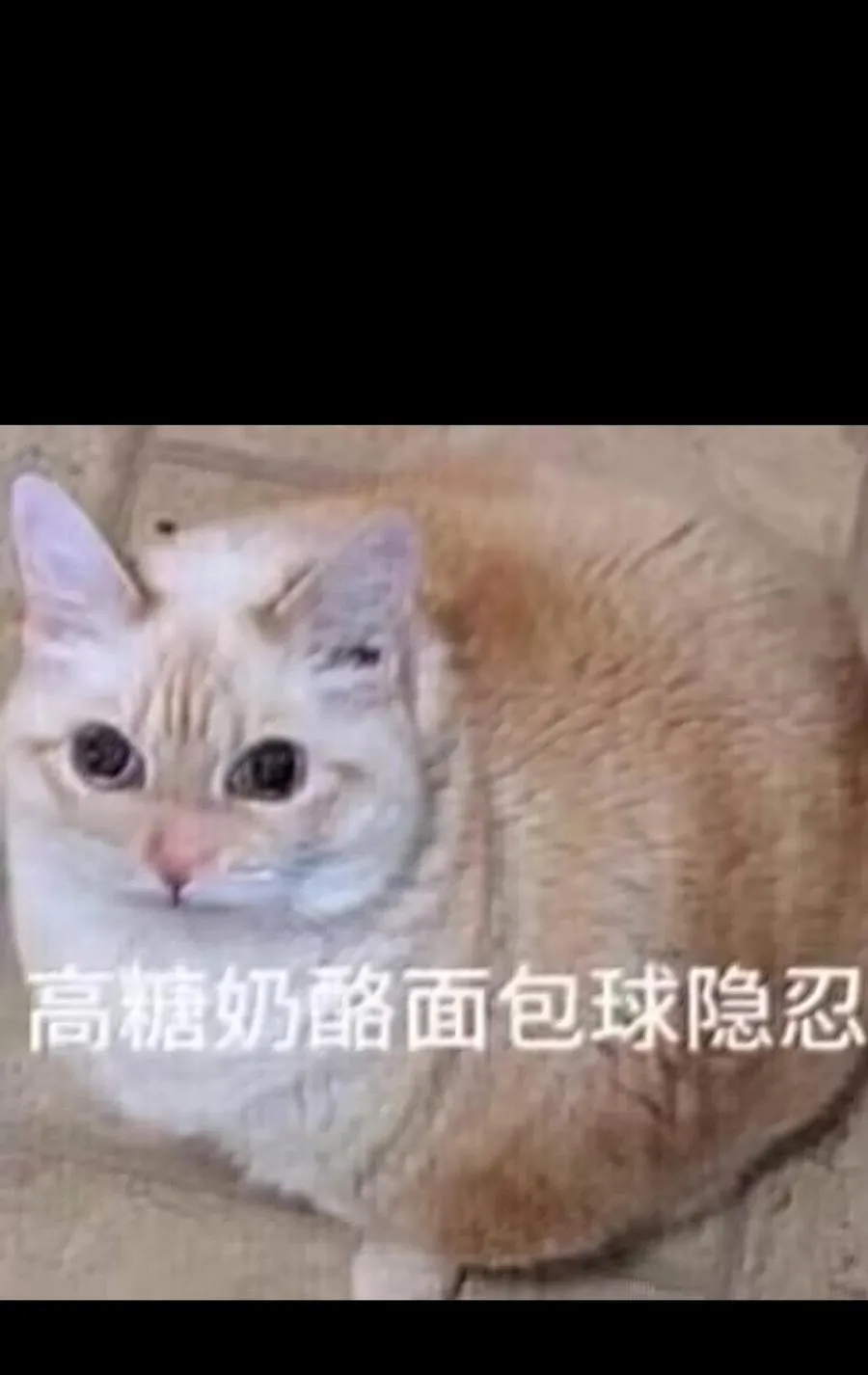 135 老人与树与牧师98