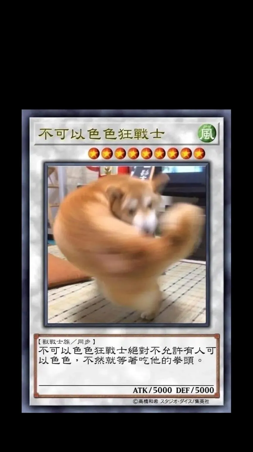 034 品尝美味82