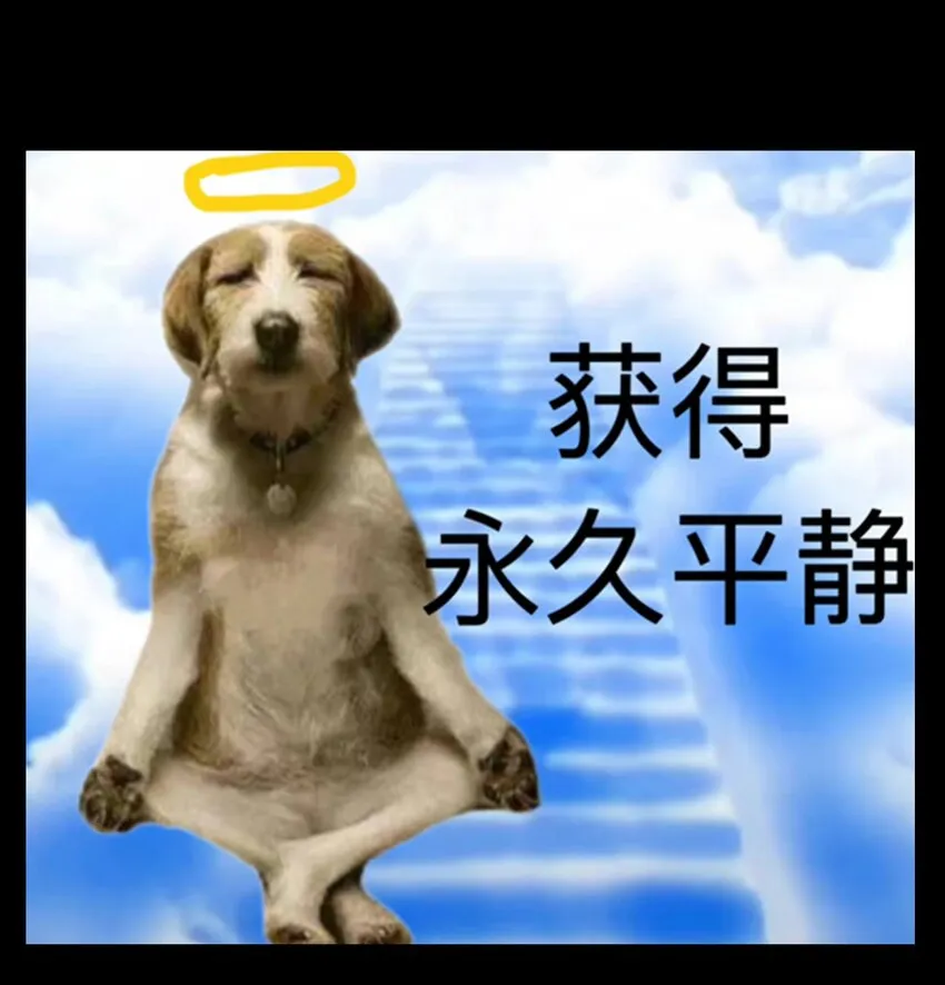 67 打个广告116