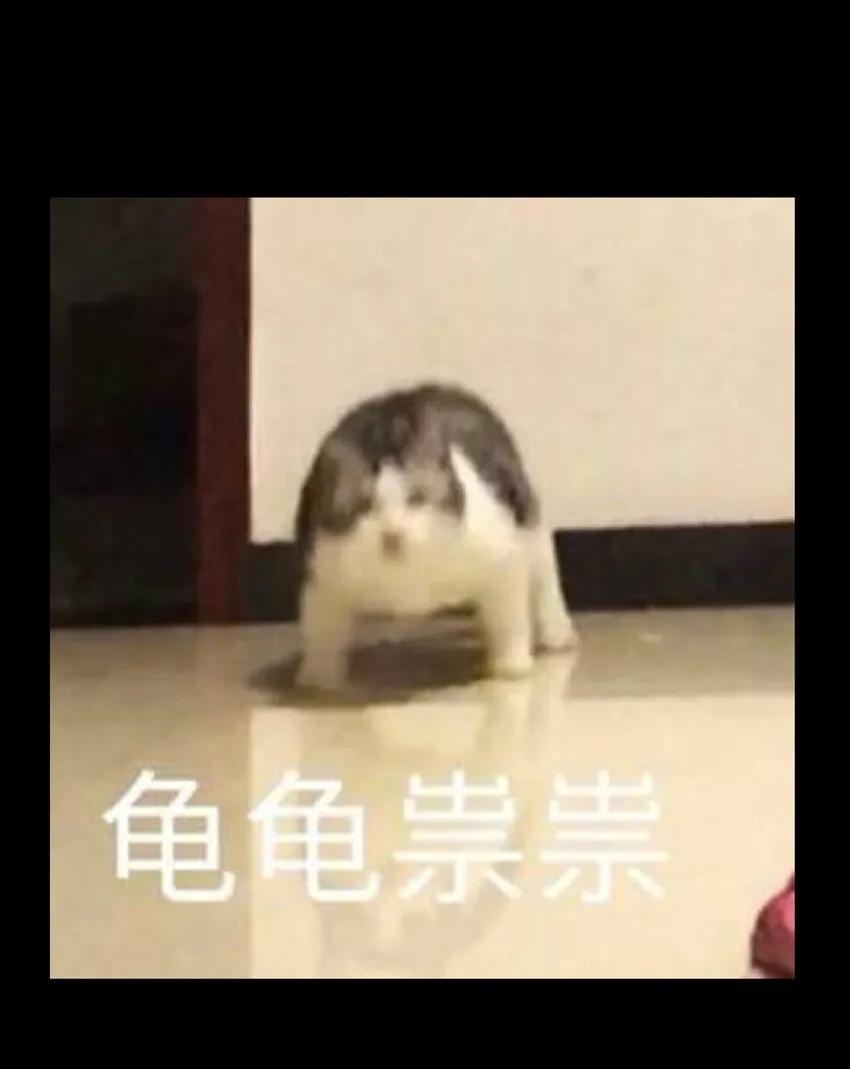 041 光之奴84