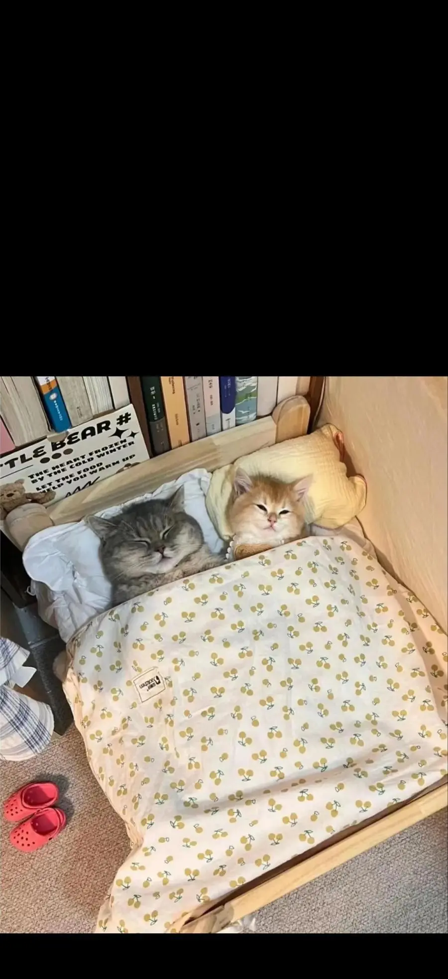 118 不会背叛77