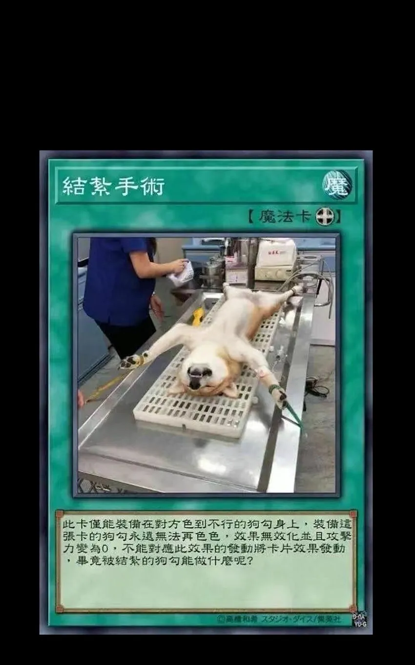 030 让个路！68