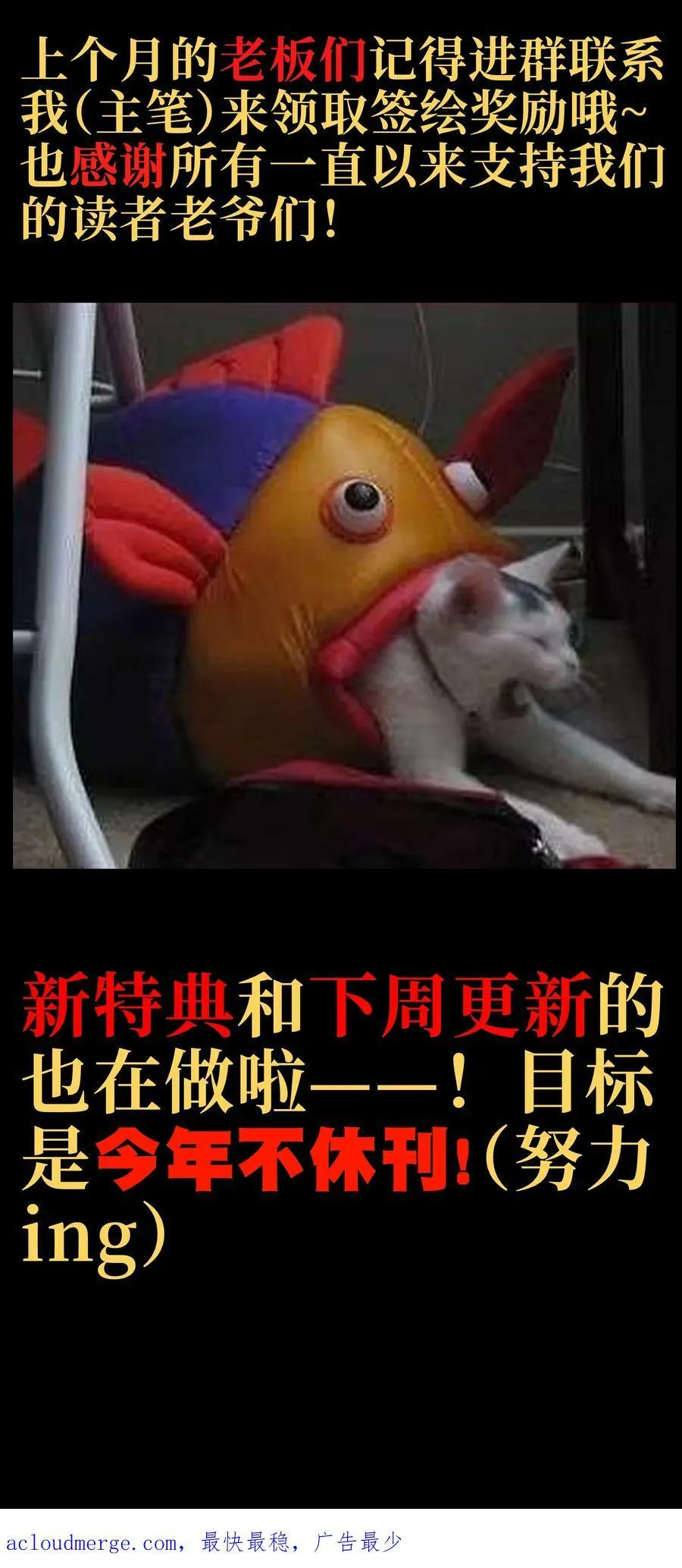 78 禁招82