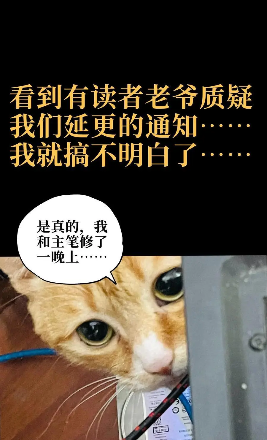 111 威廉恺撒73